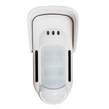 Wireless dual infrared & MW intrusion detector